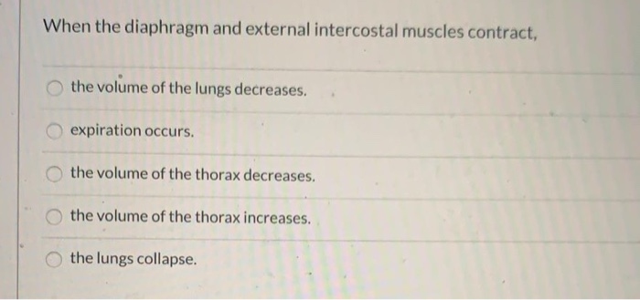 Solved When the diaphragm and external intercostal muscles | Chegg.com