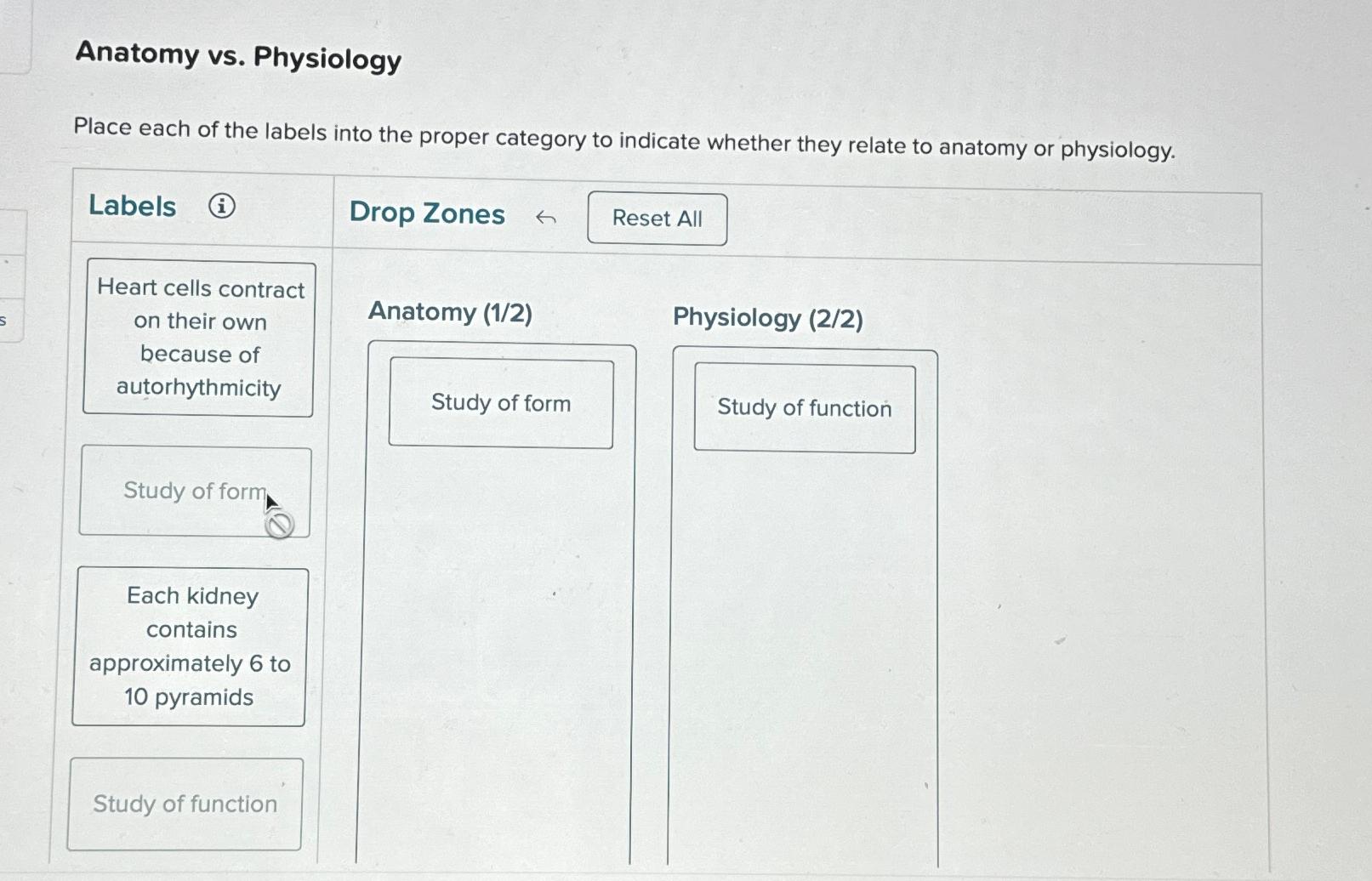 Solved Anatomy vs. ﻿PhysiologyPlace each of the labels into | Chegg.com