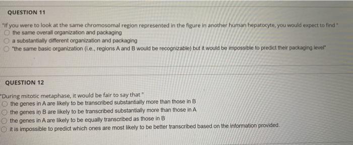 Solved The figure below shows a small section of chromosome | Chegg.com