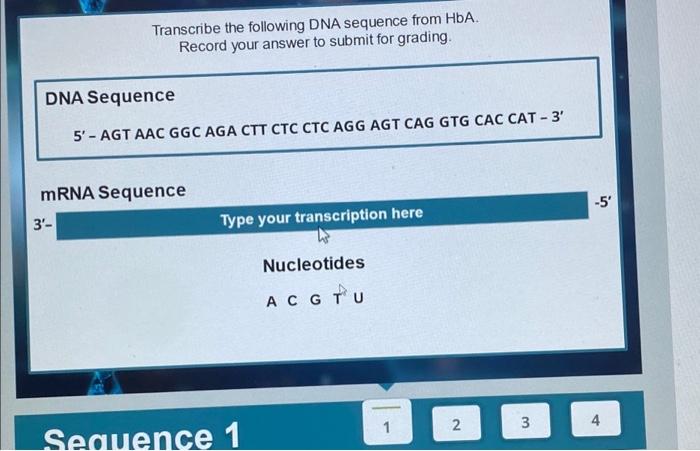 Solved Transcribe the following DNA sequence from HbA. | Chegg.com