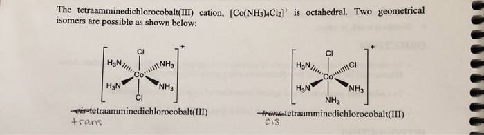 Solved Please Answer All Of These Questions When Drawing Chegg Com