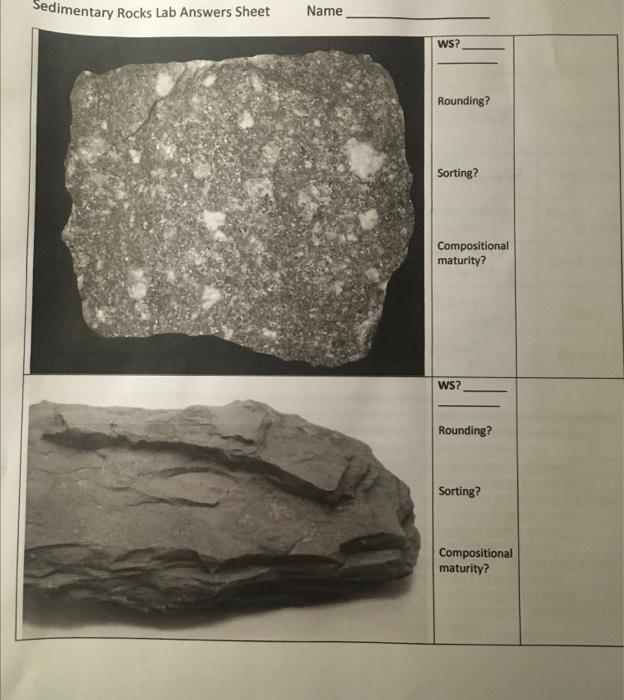 Solved Sedimentary Rocks Lab Answers Sheet Name