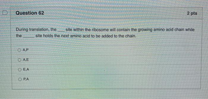Solved Question 60 2 pts Protein transport into mitochondria | Chegg.com