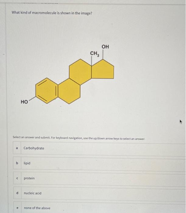 Solved What kind of macromolecule is shown in the image? OH 