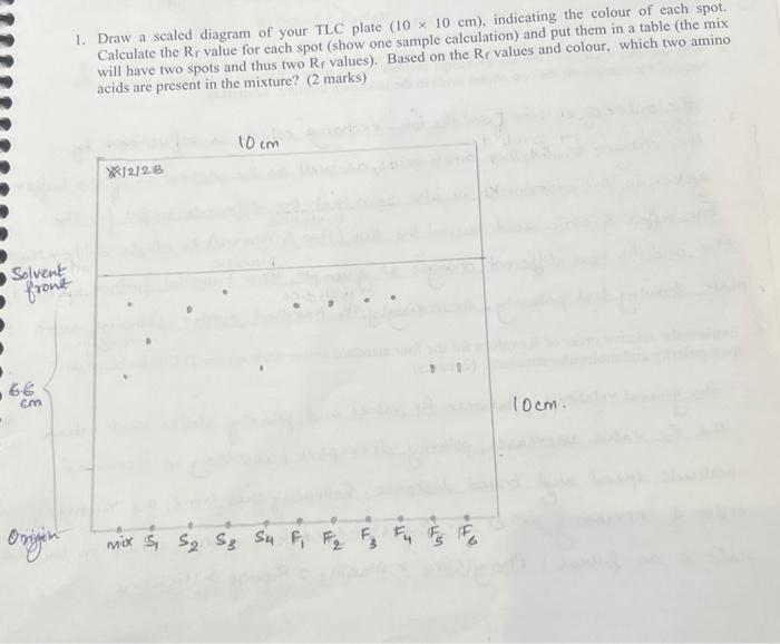 Solved 1. Draw a scaled diagram of your TLC plate (10×10
