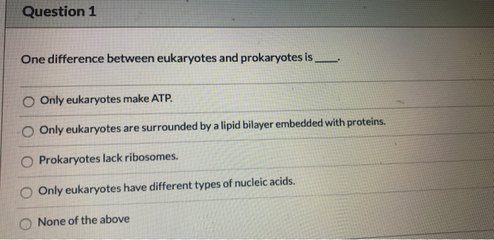 Solved Question 1 One difference between eukaryotes and | Chegg.com
