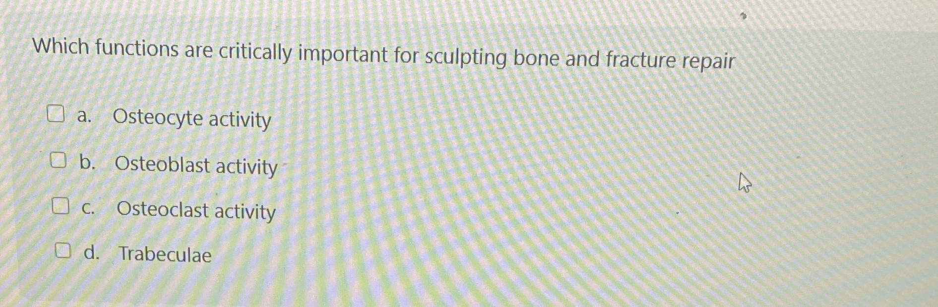 Solved Which functions are critically important for