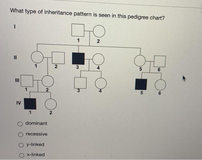 Solved What type of inheritance pattern is seen in this | Chegg.com