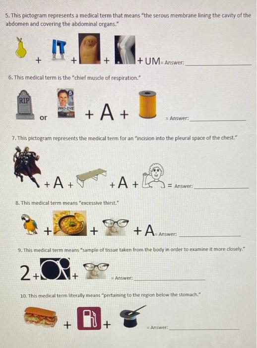 solved-5-this-pictogram-represents-a-medical-term-that-chegg