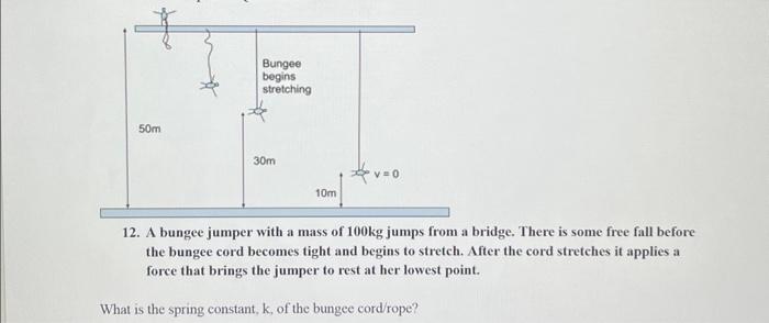 12. A bungee jumper with a mass of 100 kg jumps from | Chegg.com