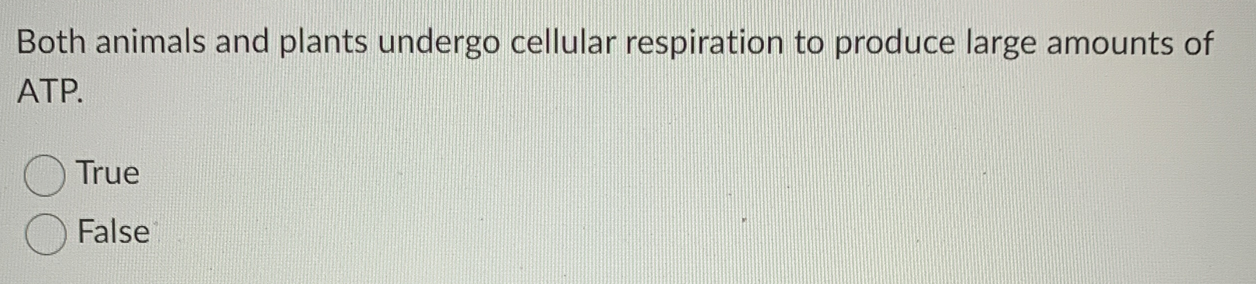 Solved Both animals and plants undergo cellular respiration