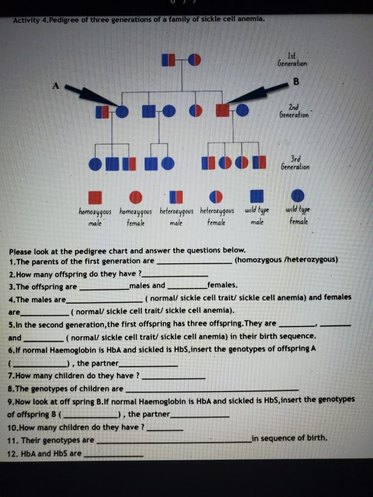 Solved Activity 4.Pedigree of three generations of a family | Chegg.com
