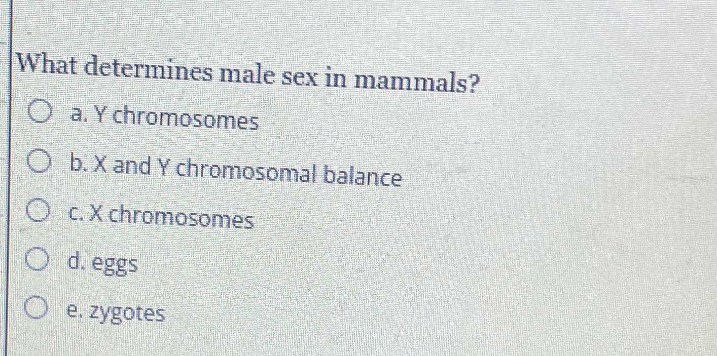 Solved What Determines Male Sex In Mammals?a. ﻿Y | Chegg.com