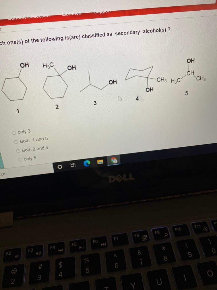 Solved LITHICO suppor Come on ch one(s) of the following | Chegg.com
