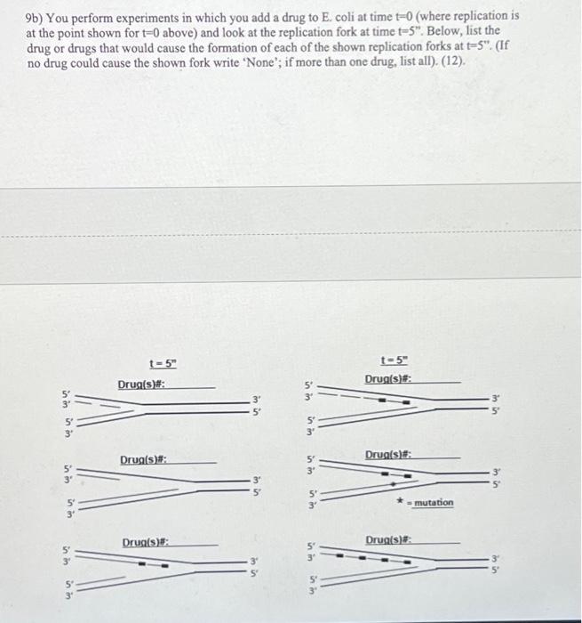 Question 9. Below is shown how a replication fork in | Chegg.com