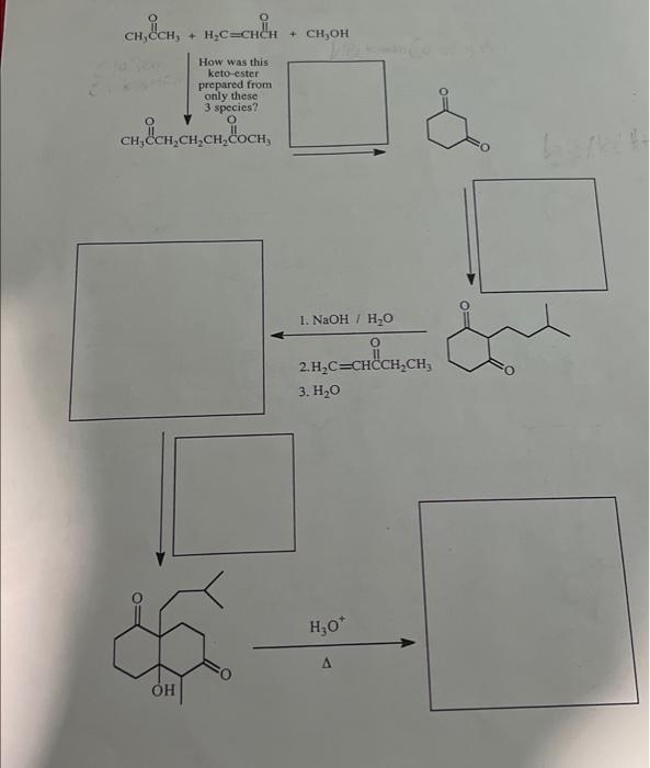 Solved 3. H2O | Chegg.com