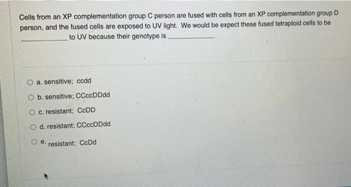 Solved Cells from an XP complementation group C person are | Chegg.com