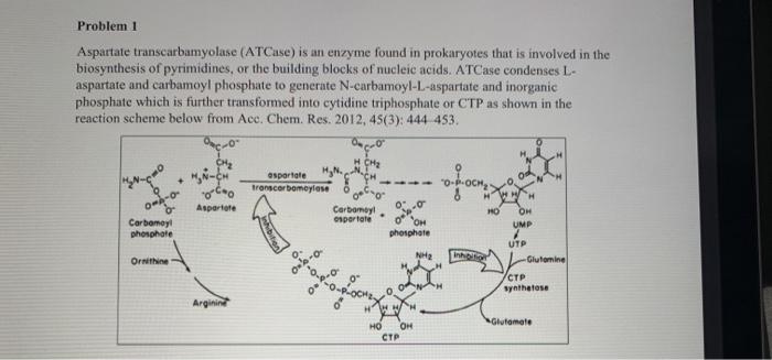 Solved 0.0 Problem 1 Aspartate transcarbamyolase (ATCase) is | Chegg.com