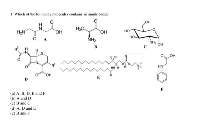 Solved 1. Which Of The Following Molecules Contains An Amide | Chegg.com