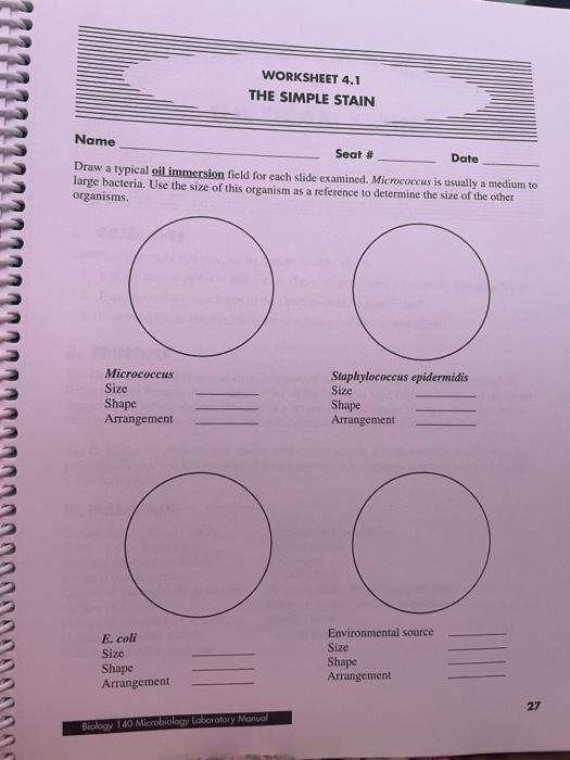 WORKSHEET 4.1 THE SIMPLE STAIN Name Seat # Date Draw | Chegg.com