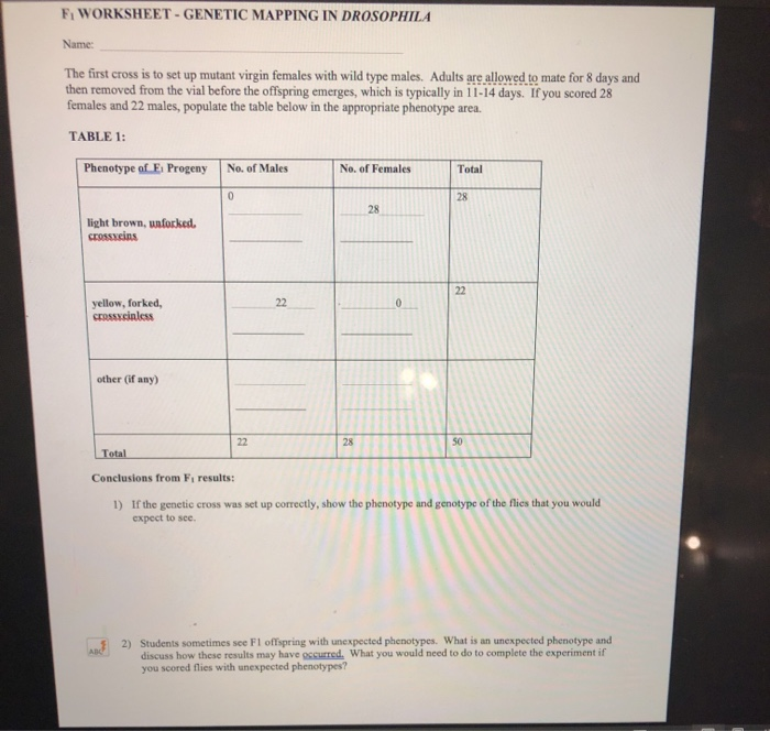 F, WORKSHEET MAPPING IN DROSOPHILA Name