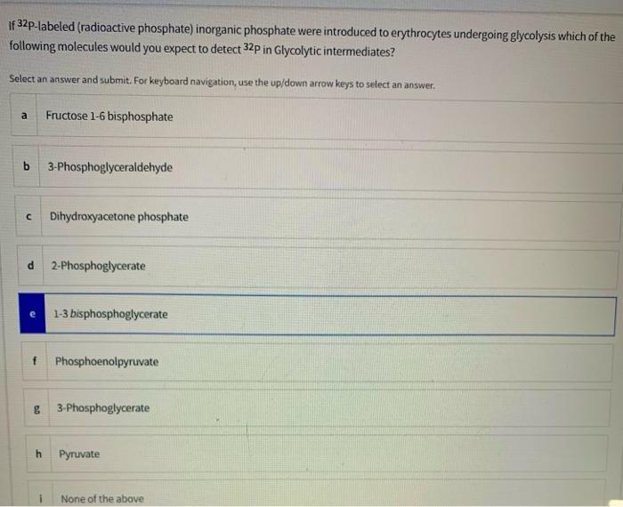 Solved If 32plabeled (radioactive phosphate)