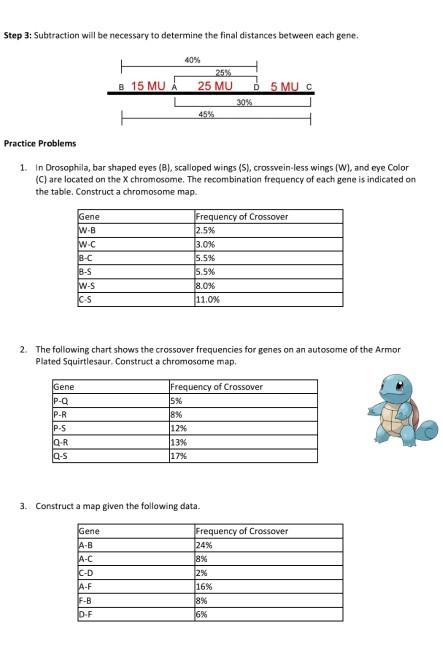 The Crossover #2 Flashcards