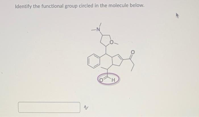 Solved Identify the functional group circled in the molecule | Chegg.com