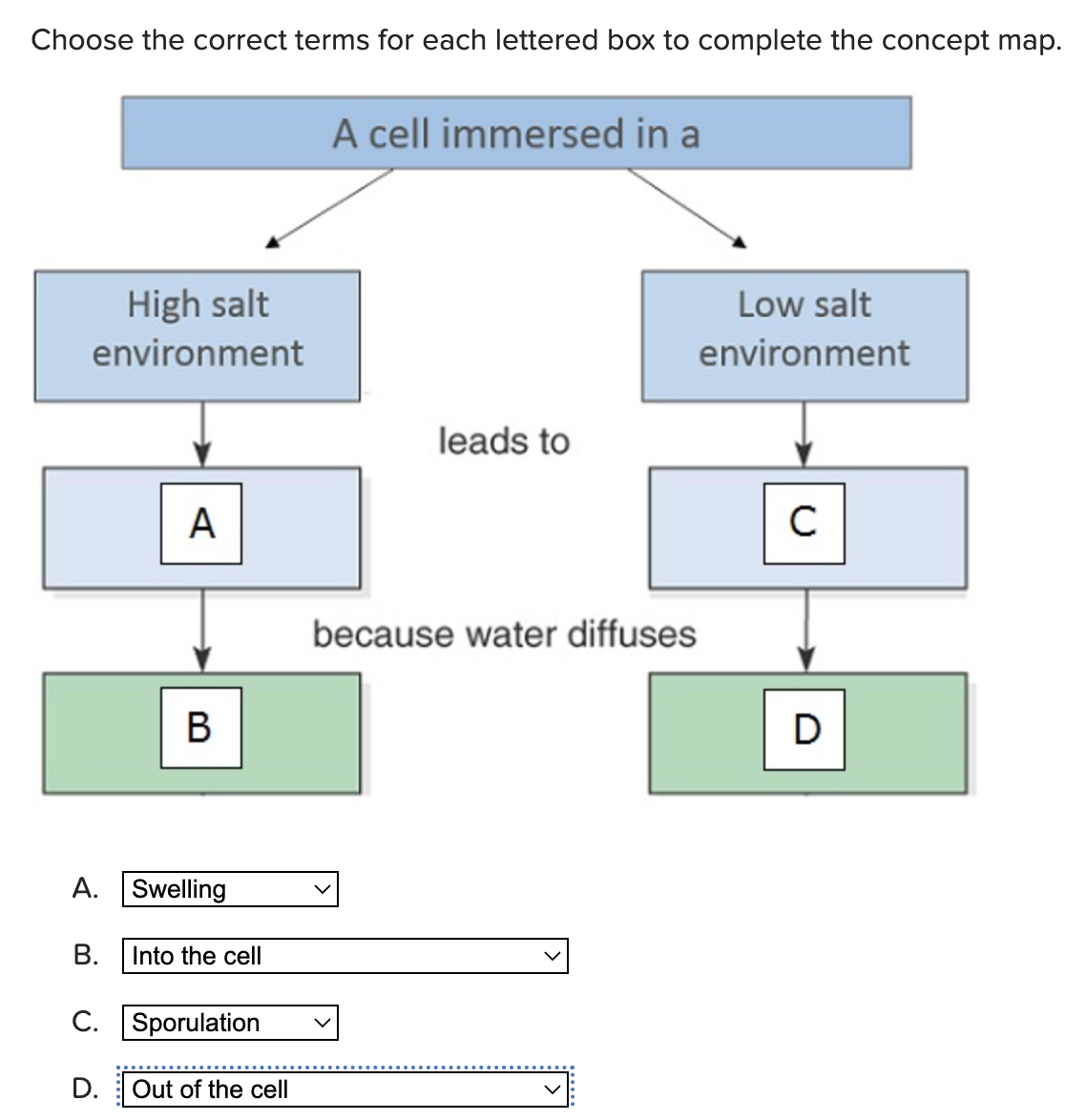 Solved Choose the correct terms for each lettered box to | Chegg.com