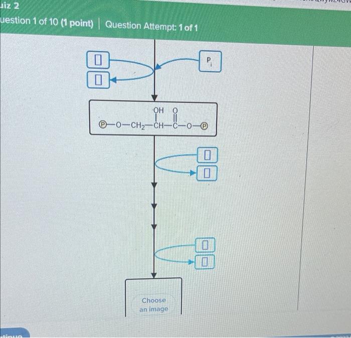 Complete The Biochemical Pathway Below, Which | Chegg.com