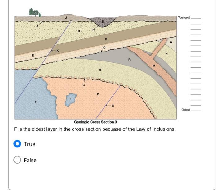 Solved What is the correct sequence of the 1st three oldest | Chegg.com