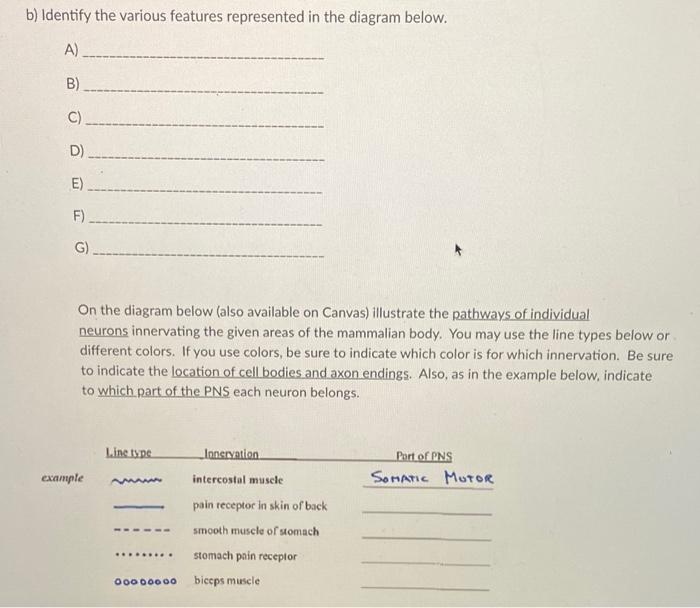 Solved b) Identify the various features represented in the | Chegg.com
