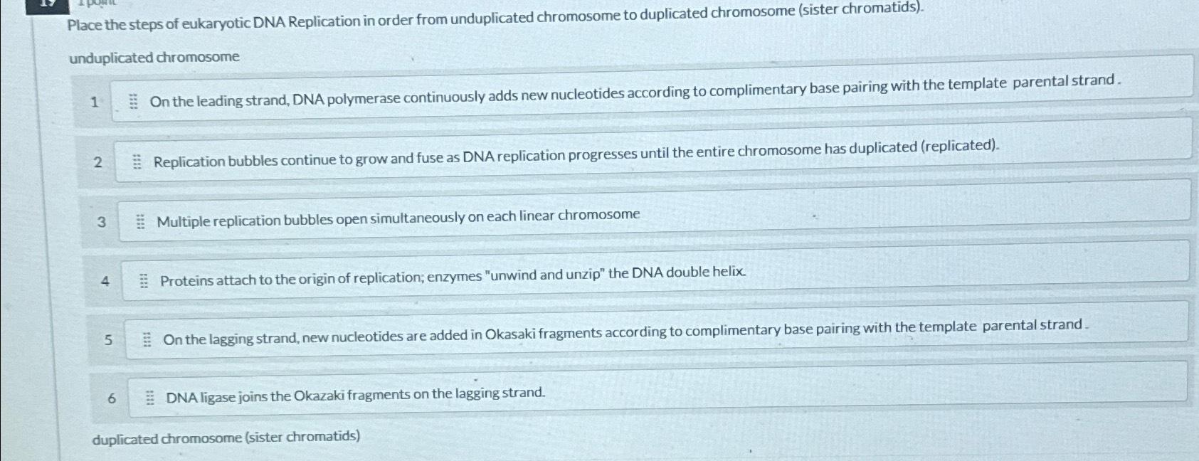 Solved Place the steps of eukaryotic DNA Replication in | Chegg.com