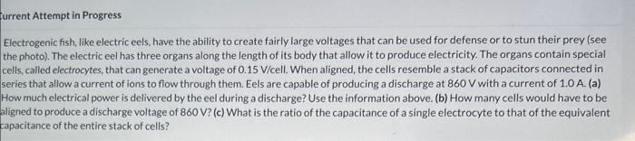 Solved Electrogenic fish, like electric eels, have the | Chegg.com