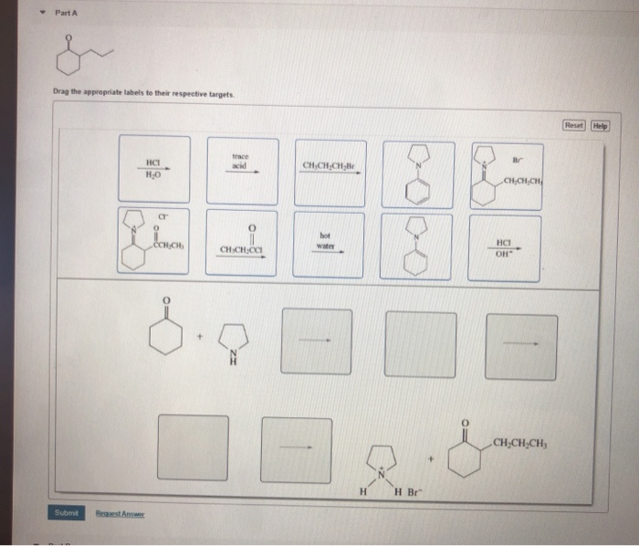 Solved Drag The Appropriate Labels To Their Respective | Chegg.com