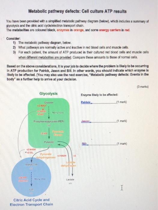 Solved Metabolic Pathway Defects Cell Culture Atp Results Chegg Com