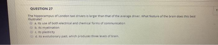 Solved QUESTION 27 The hippocampus of London taxi drivers is | Chegg.com