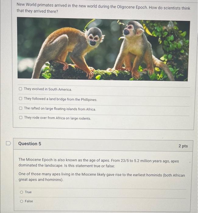 Solved New World primates arrived in the new world during | Chegg.com
