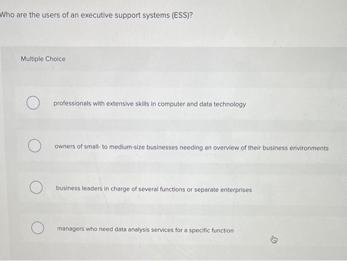 Who are the users of an executive support systems (ESS)?
Multiple Choice
professionals with extensive skills in computer and 