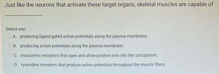 Solved Just like the neurons that activate these target | Chegg.com
