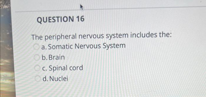 Solved The Peripheral Nervous System Includes The: A. 