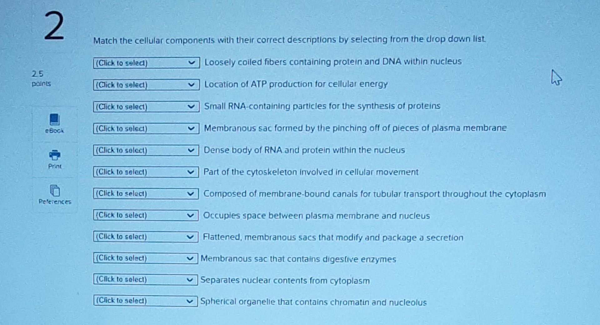 Solved Match the cellular components with their correct | Chegg.com