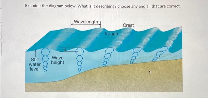 Solved Examine the diagram below. What is it describing? | Chegg.com
