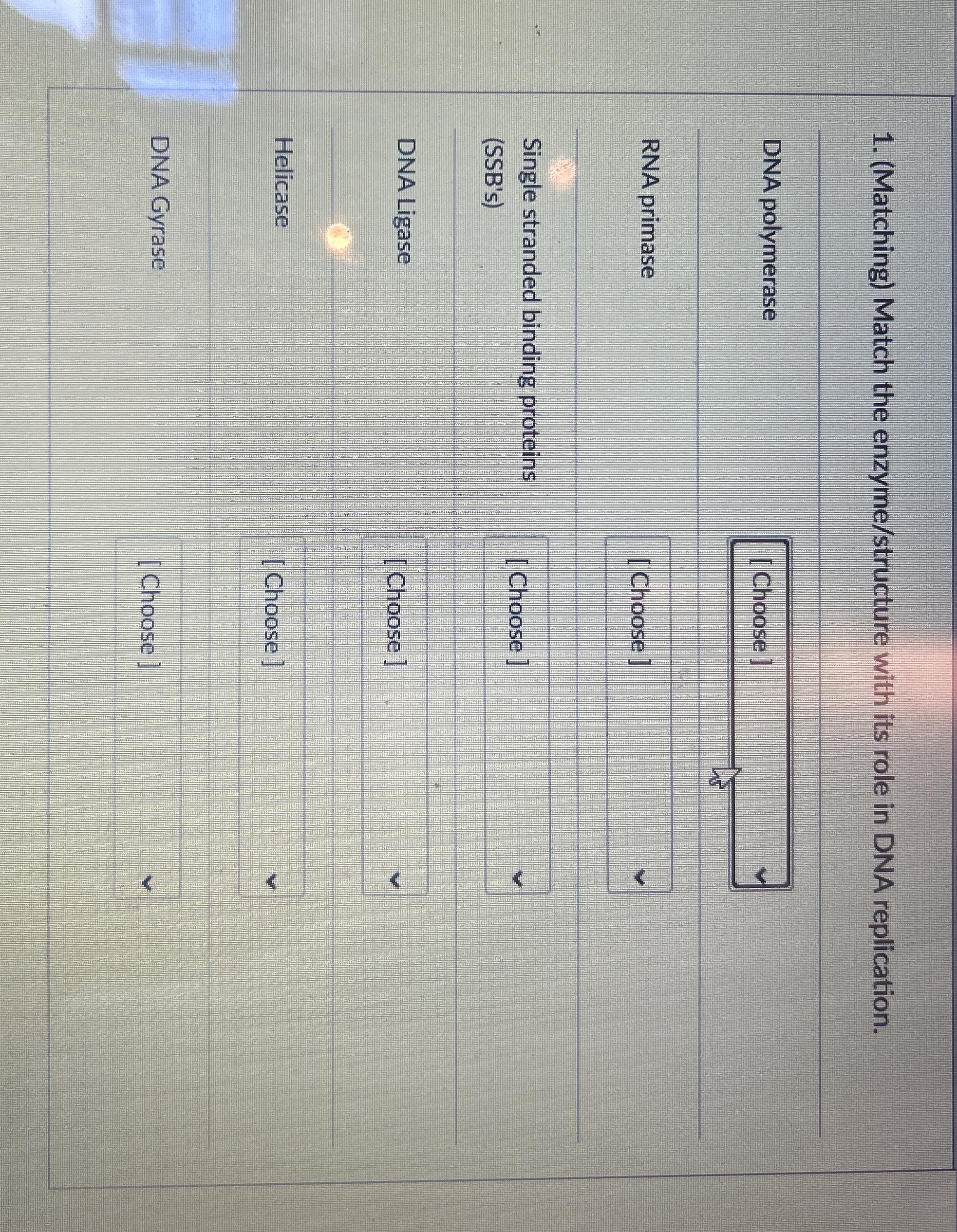 Solved (Matching) ﻿Match the enzyme/structure with its role