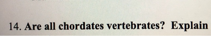 Solved 14. Are all chordates vertebrates? Explain | Chegg.com