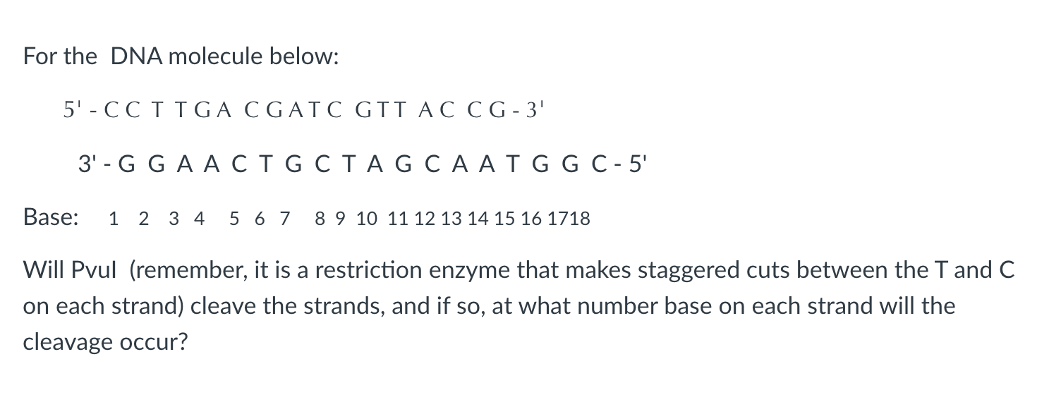 Solved For the DNA molecule below:5' - ﻿CC T TGA CGATC GTTAC | Chegg.com