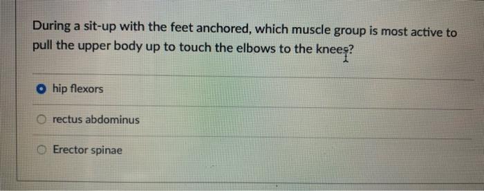 Solved During a sit up with the feet anchored which muscle