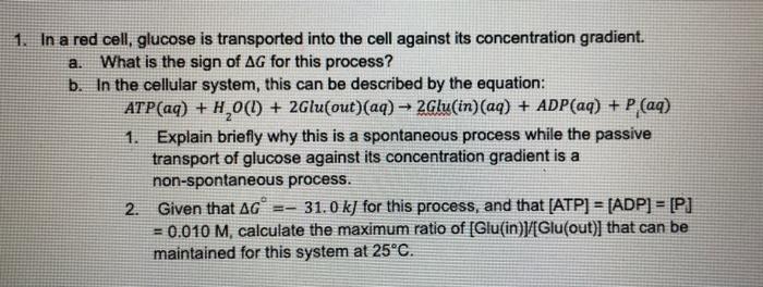 Solved A. 1. In A Red Cell, Glucose Is Transported Into The | Chegg.com