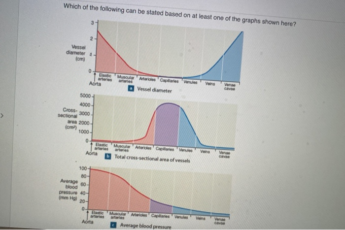 Solved Which of the following can be stated based on at | Chegg.com