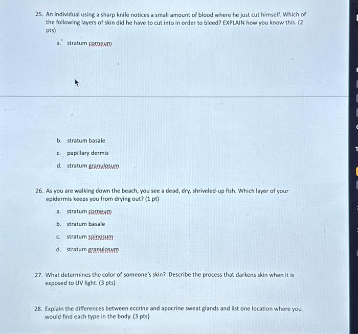 Solved 21. In response to stimuli from the sympathetic | Chegg.com